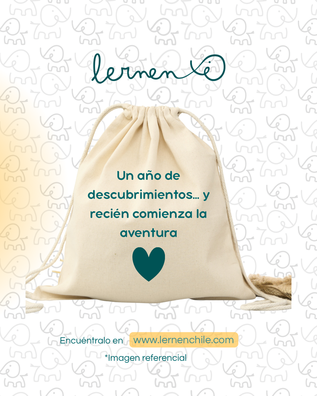 Bag Mi Primer Cumpleaños